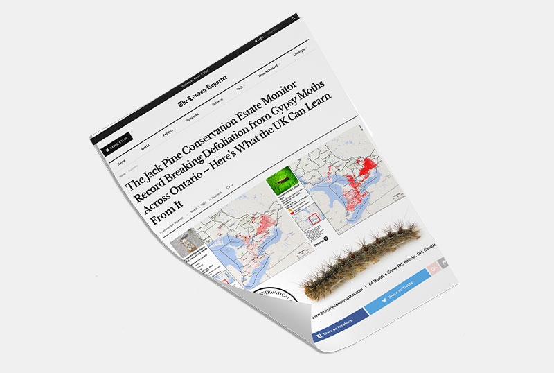 London Reporter Article