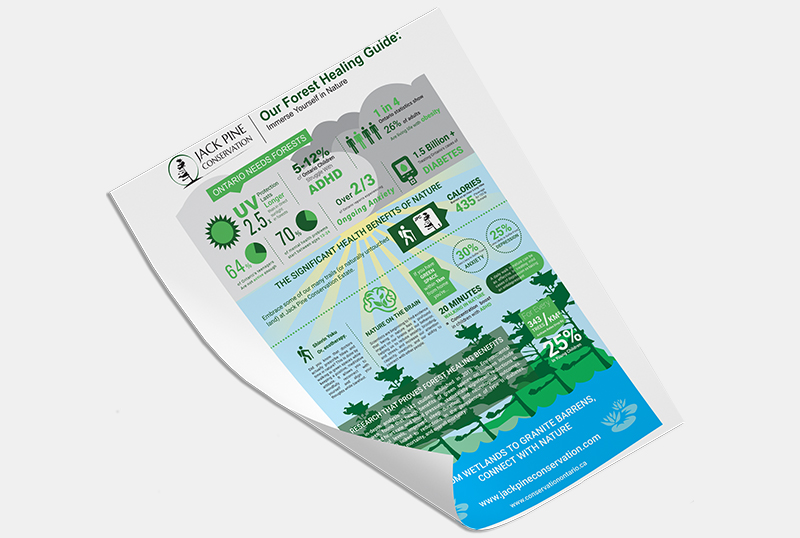 Infographic for Our Forest Healing Guide